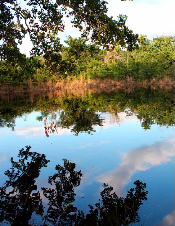 Cuerpo de agua en microrregión de Calakmul, Campeche. foto: Archivo IDESMAC