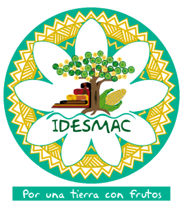 Logo Idesmac